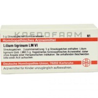 Лилиум Тигринум ● Lilium Tigrinum