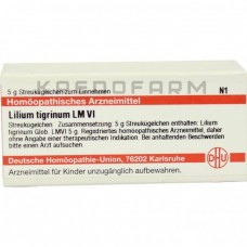 Ліліум Тигринум ● Lilium Tigrinum