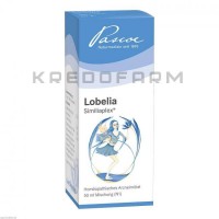 Лобелия Симилиаплекс ● Lobelia Similiaplex
