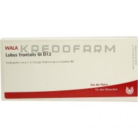 Лобус ● Lobus