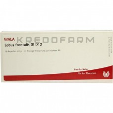 Лобус ● Lobus