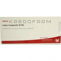 Лобус ● Lobus