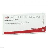 Лобус ● Lobus