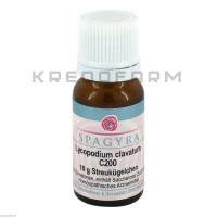 Ликоподиум Клаватум ● Lycopodium Clavatum