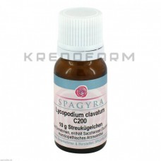 Лікоподіум Клаватум ● Lycopodium Clavatum