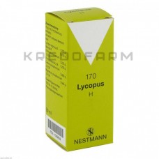 Лікопус ● Lycopus