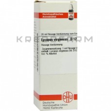 Лікопус Віргінікус ● Lycopus Virginicus