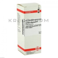 Ликопус Виргиникус ● Lycopus Virginicus