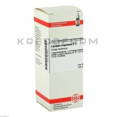 Лікопус Віргінікус ● Lycopus Virginicus