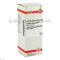 Ликопус Виргиникус ● Lycopus Virginicus