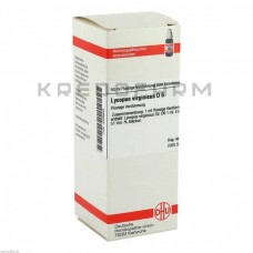 Лікопус Віргінікус ● Lycopus Virginicus