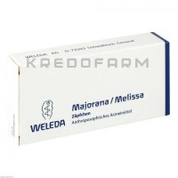 Майорану Меліса ● Majorana Melissa