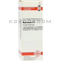 Манцинелла ● Mancinella