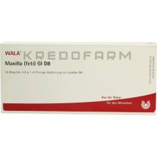 Максилла ● Maxilla