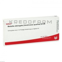 Медулла Облонгата ● Medulla Oblongata