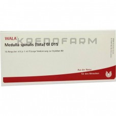 Медулла Спіналіс ● Medulla Spinalis