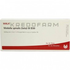 Медулла Спіналіс ● Medulla Spinalis