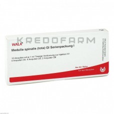 Медулла Спіналіс ● Medulla Spinalis