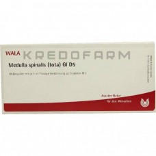 Медулла Спіналіс ● Medulla Spinalis