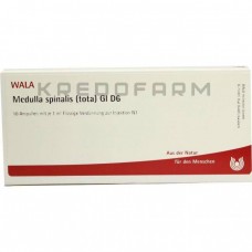 Медулла Спіналіс ● Medulla Spinalis