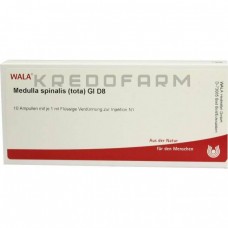 Медулла Спіналіс ● Medulla Spinalis