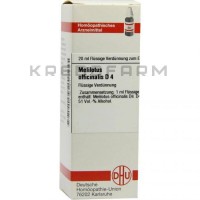 Мелилотус Оффициналис ● Melilotus Officinalis