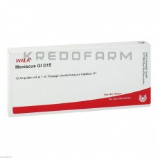 Меніскус ● Meniscus