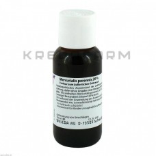 Меркуріаліс Перенніс ● Mercurialis Perennis