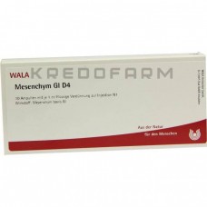 Мезенхім ● Mesenchym