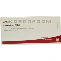 Мезенхим ● Mesenchym