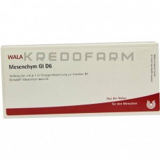 Мезенхім ● Mesenchym