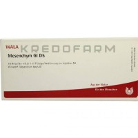 Мезенхим ● Mesenchym