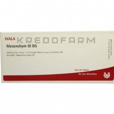 Мезенхім ● Mesenchym