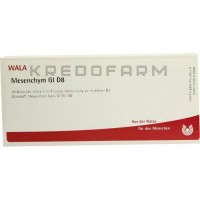 Мезенхим ● Mesenchym