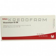 Мезенхім ● Mesenchym