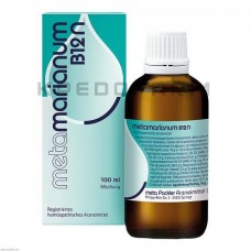 Метамаріанум ● Metamarianum