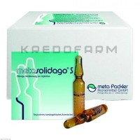 Метасолідаго ● Metasolidago