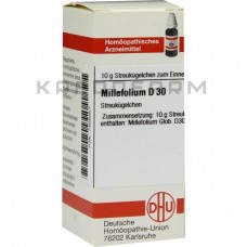 Міллефоліум ● Millefolium