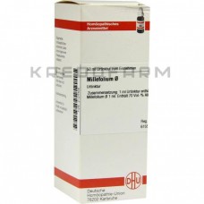 Міллефоліум ● Millefolium