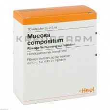 Мукоза ● Mucosa