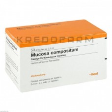 Мукоза ● Mucosa