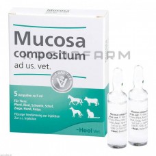 Мукоза ● Mucosa