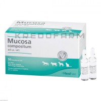 Мукоза ● Mucosa