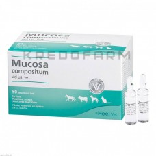 Мукоза ● Mucosa