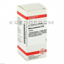 Мурекс Пурпуреус ● Murex Purpureus