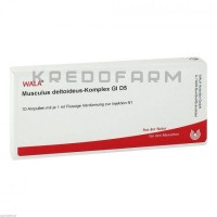 Мускулюс Дельтоїдус ● Musculus Deltoideus