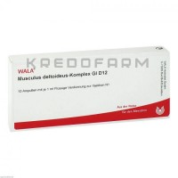 Мускулюс Дельтоїдус ● Musculus Deltoideus