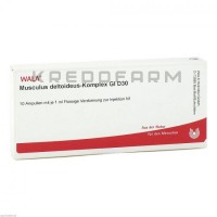 Мускулюс Дельтоїдус ● Musculus Deltoideus