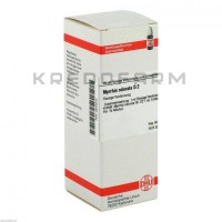 Мірріс ● Myrrhis