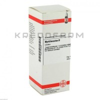 Миртиллокактус ● Myrtillocactus